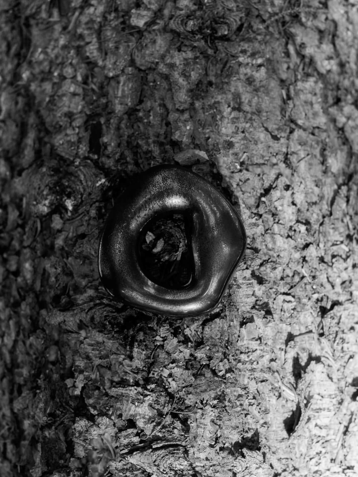 ORRITH Ornaments Set Rustic Bronze