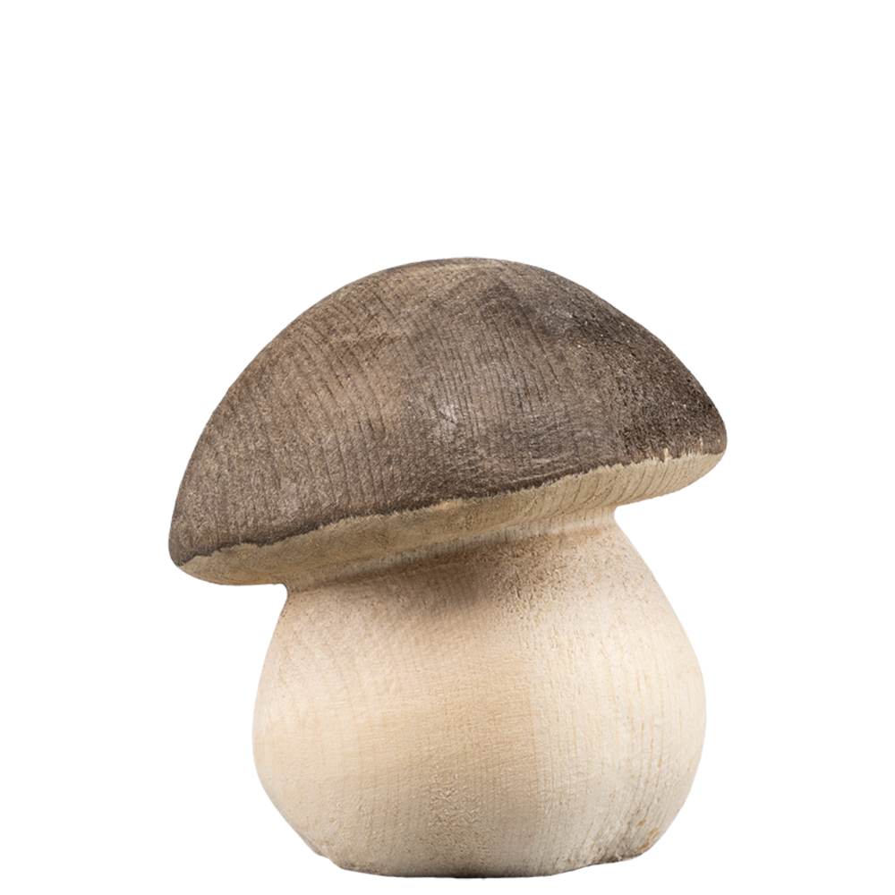 STEINPILZ gebeizt 4 cm