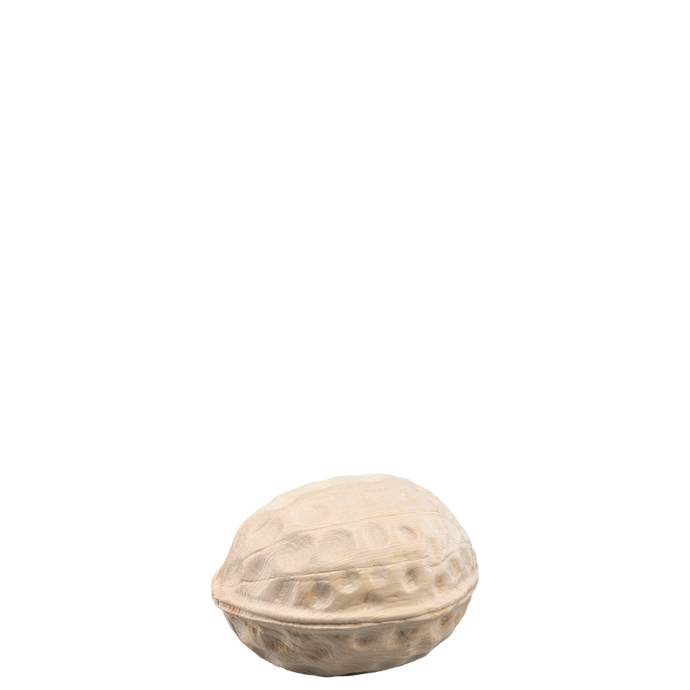 WALNUSS  Natur ver. Größen