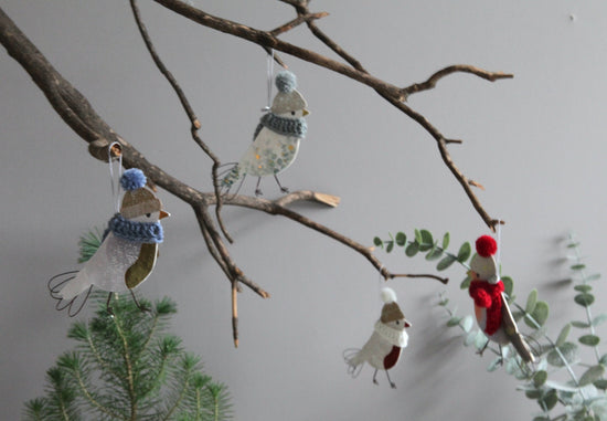 Wintervogel GRAUER SCHAL