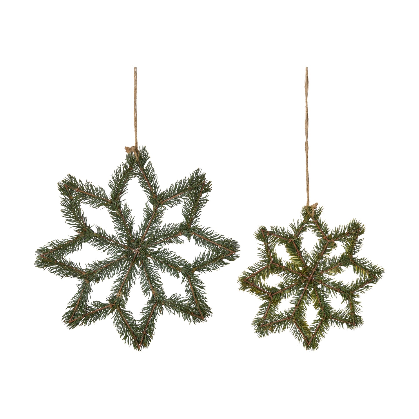 Stern groß mit Tanne