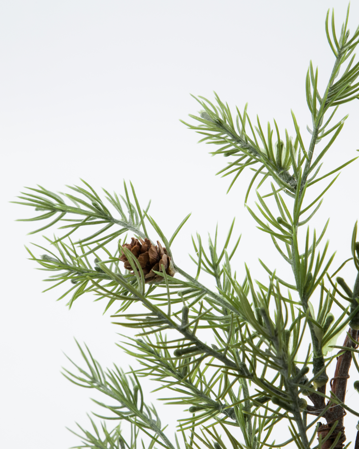 Kranz 35 cm mit kleinen Zapfen