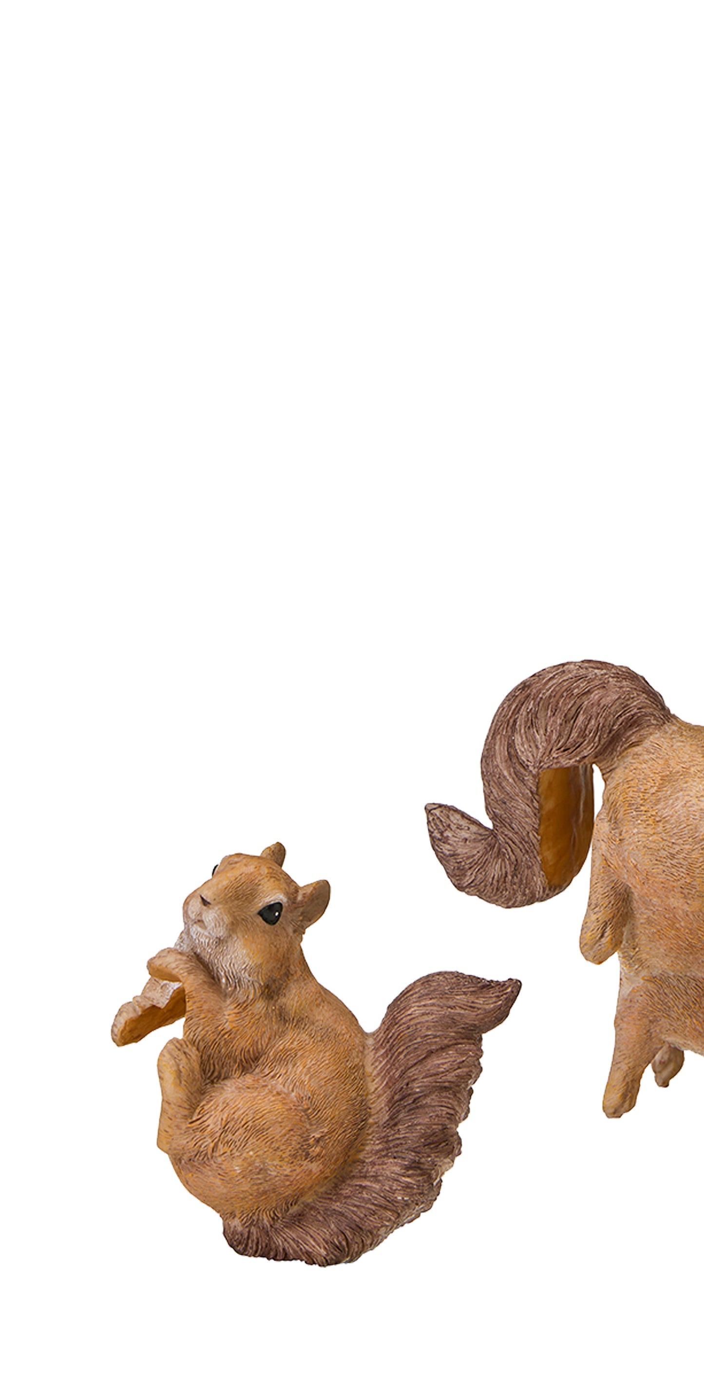 Hänge Eichhörnchen 1 / Links