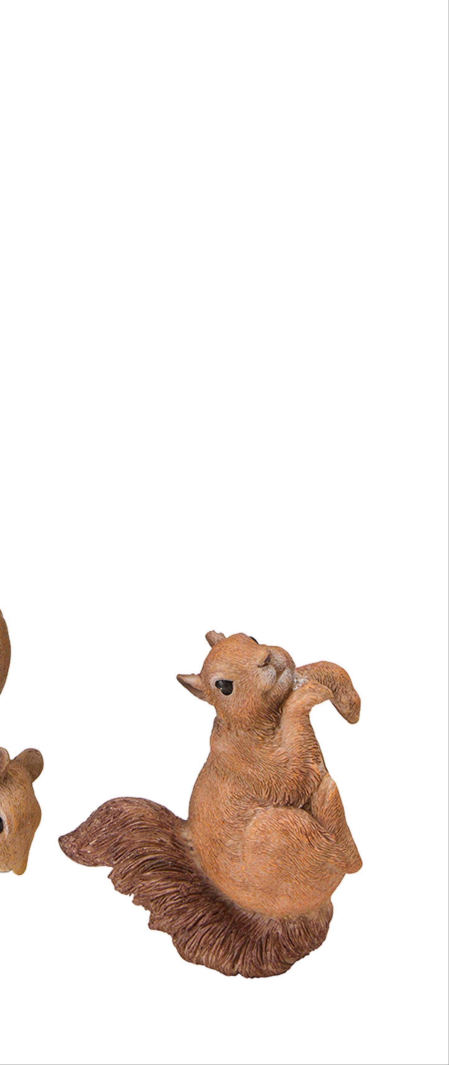 Hänge Eichhörnchen 3 / Rechts