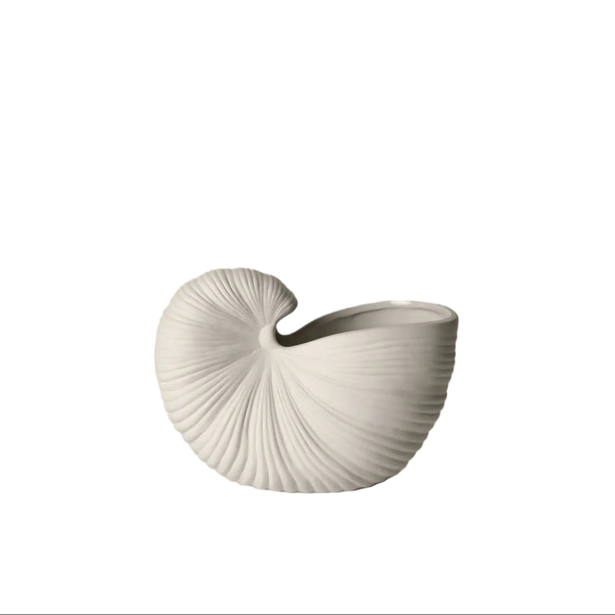 SHELL ( Muschel )  23 White Off