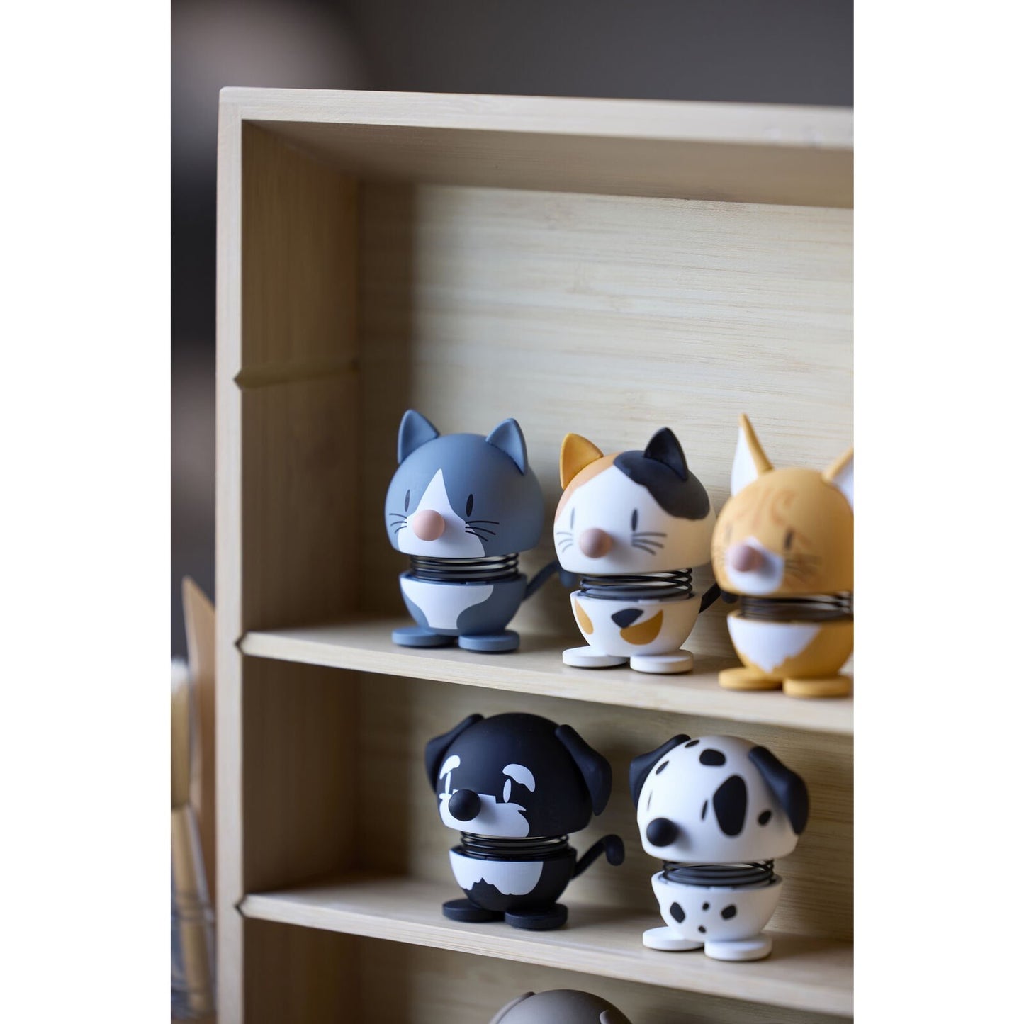 Calico ( Katze )  XS MINI Weiß