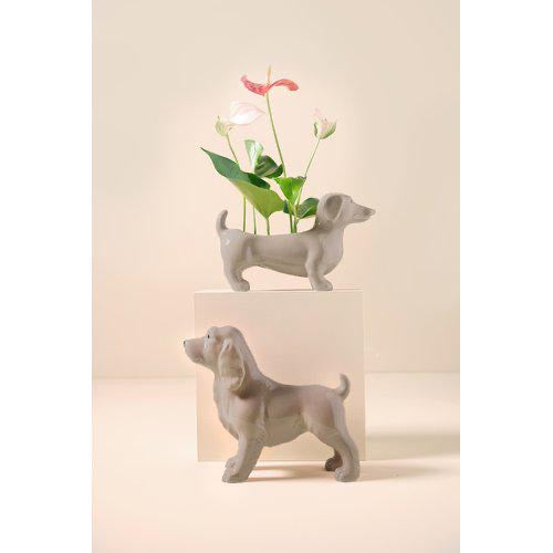 Jacky Pflanzen Übertopf