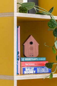 Sound BOX dunkles Holz