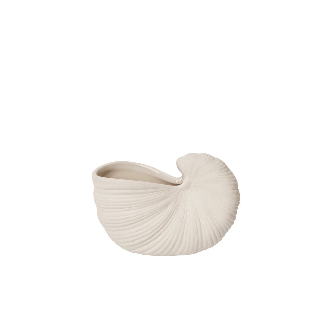 SHELL ( Muschel ) 11 White Off