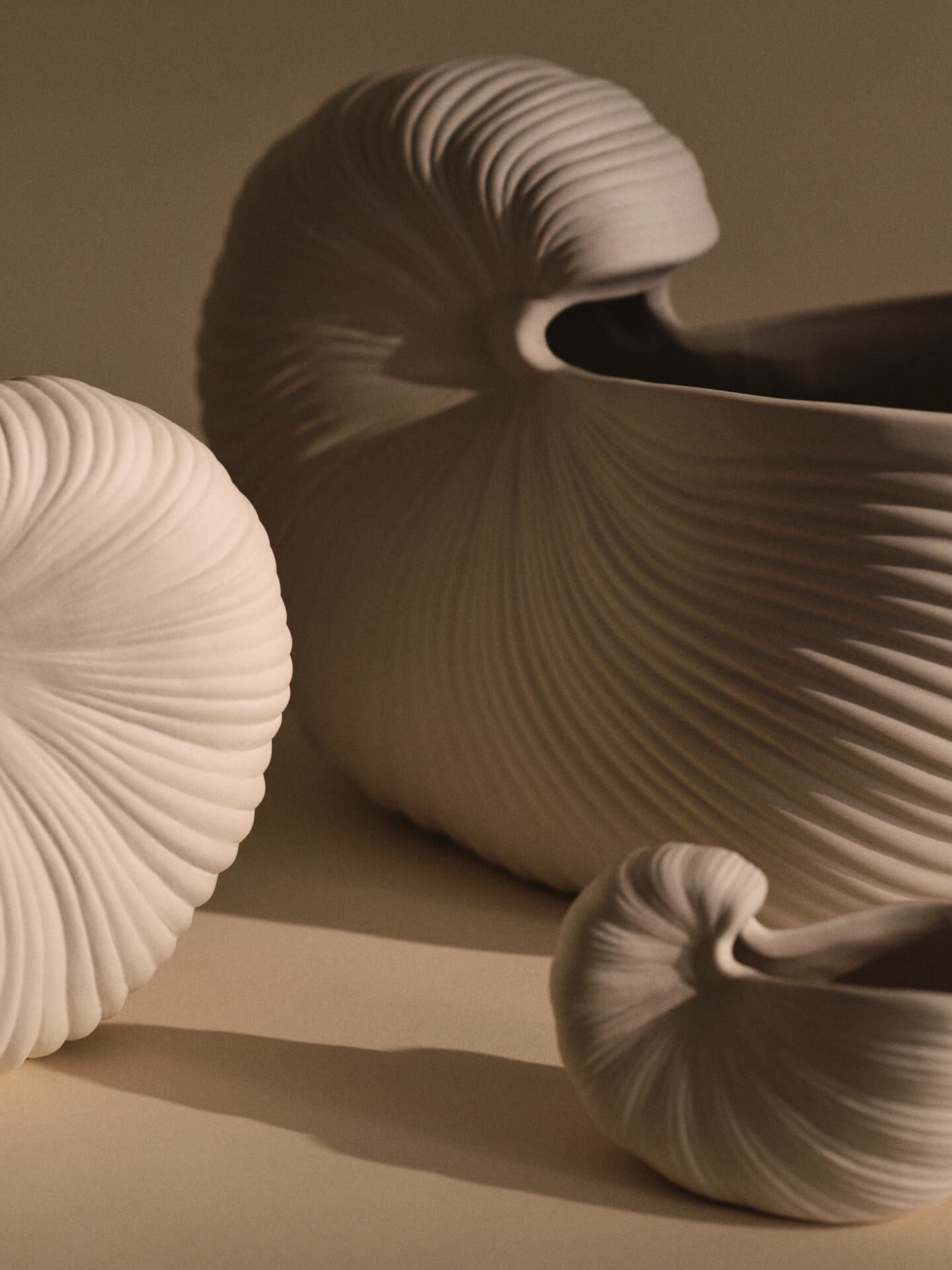 SHELL ( Muschel ) 11 White Off