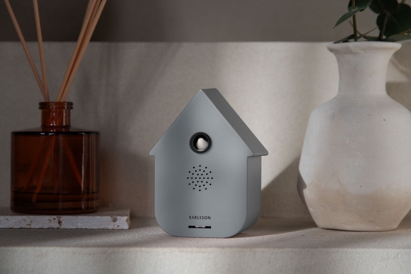 Sound BOX  Grau