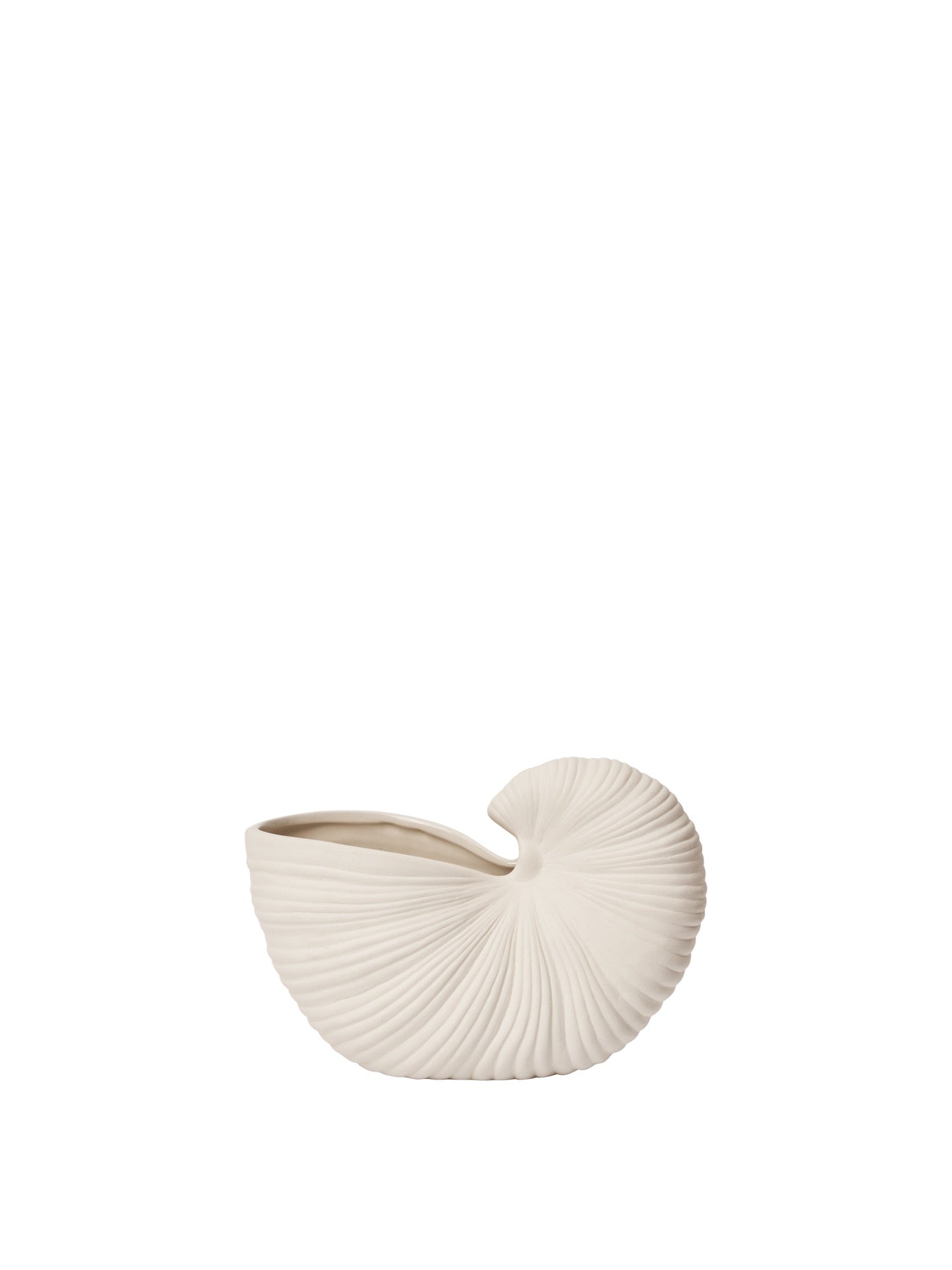 SHELL ( Muschel )  23 White Off