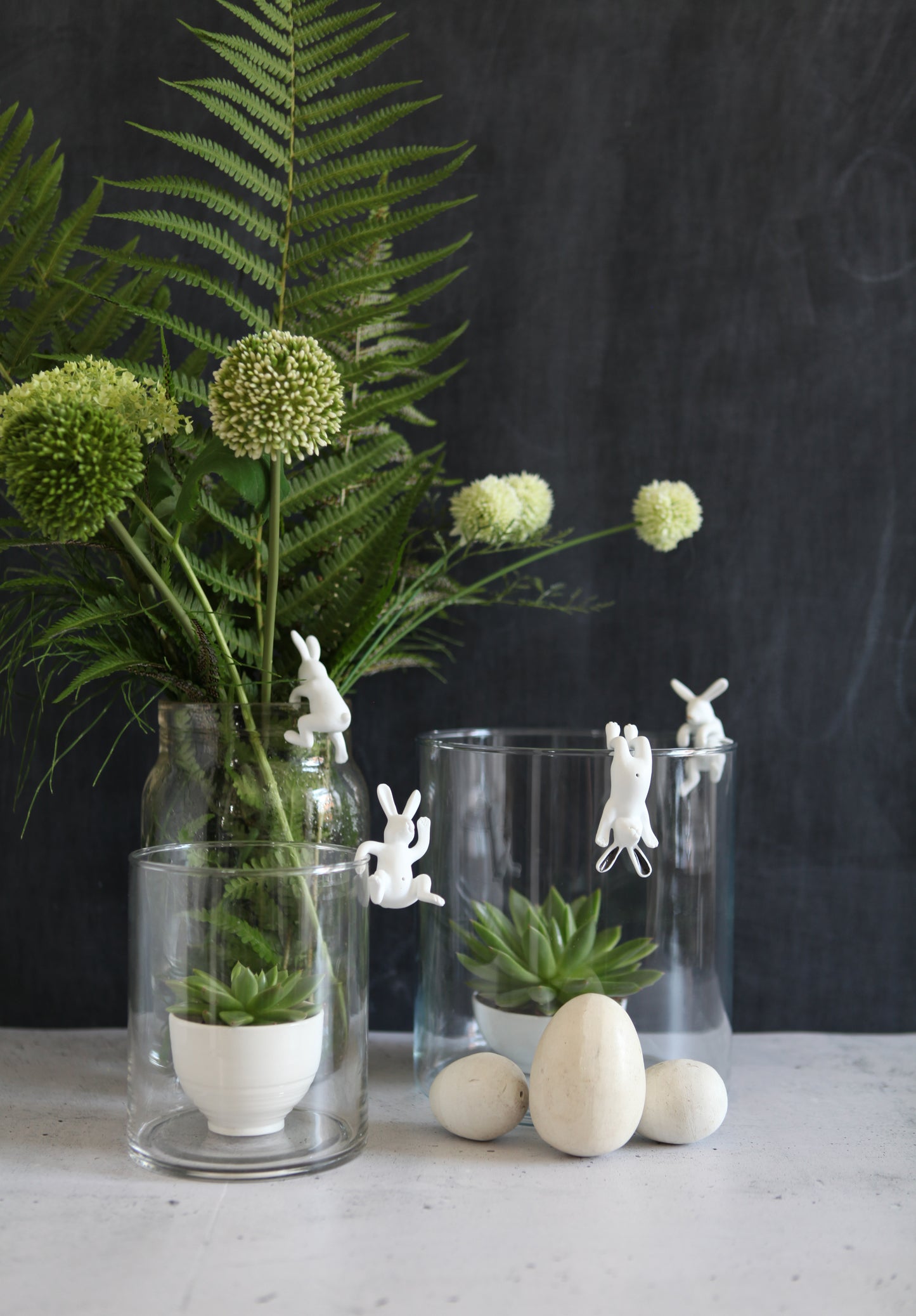 Kletterhase goldene OHREN