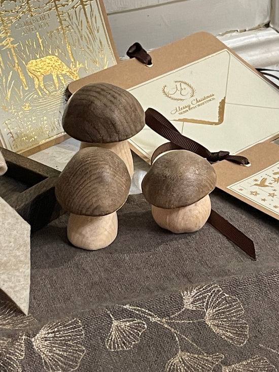 STEINPILZ gebeizt schräger Kopf 5 cm