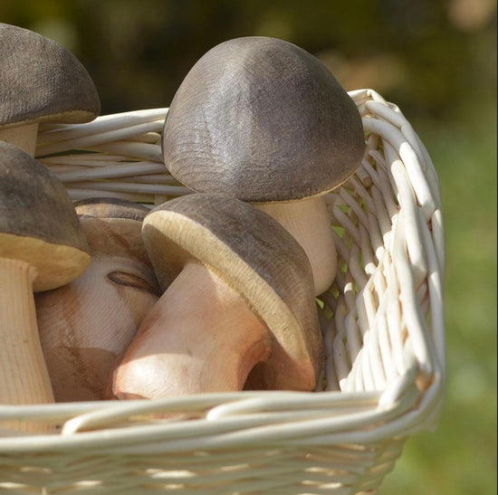 STEINPILZ gebeizt 4 cm