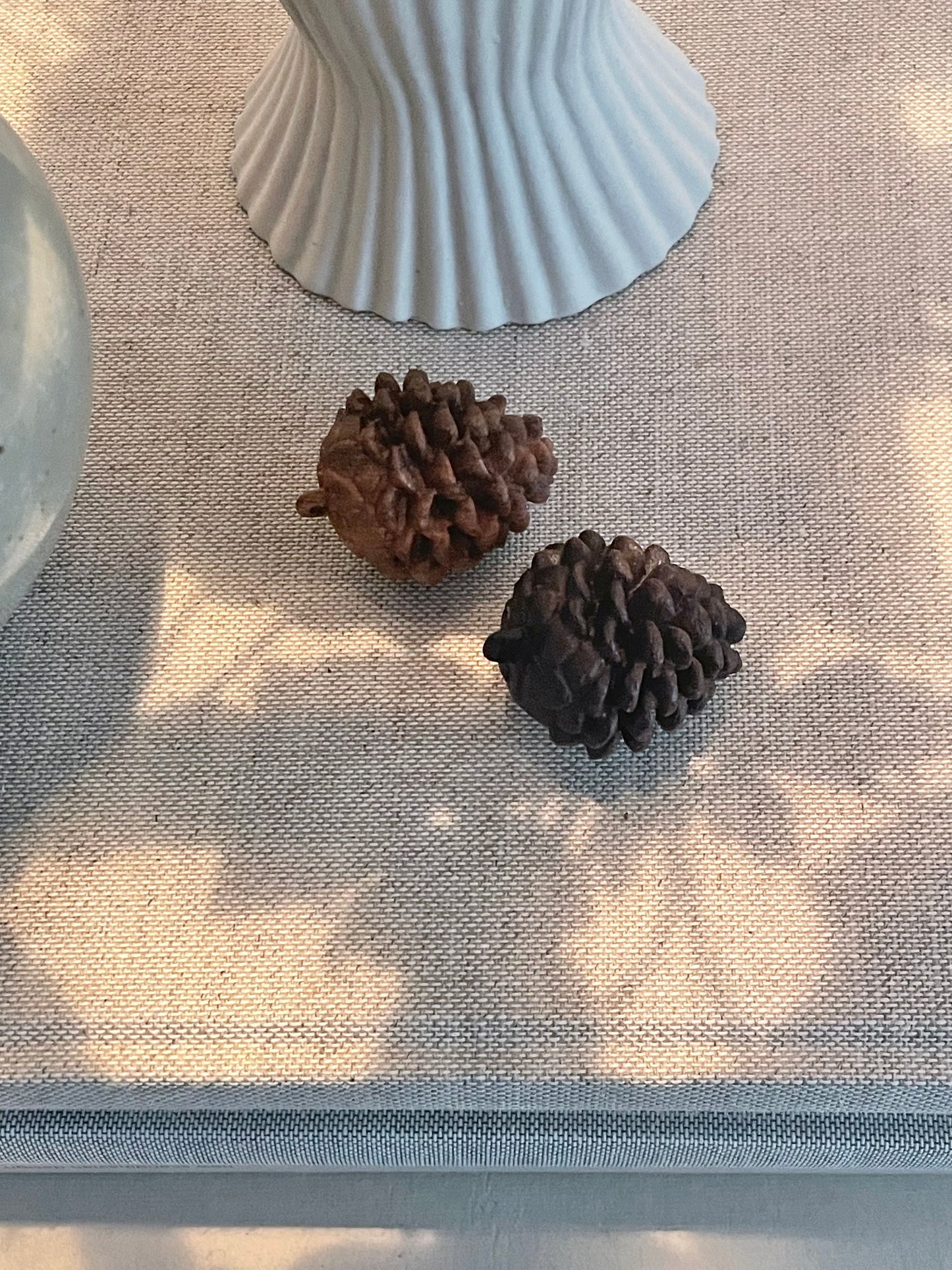 LATSCHENZAPFEN Nussbaum