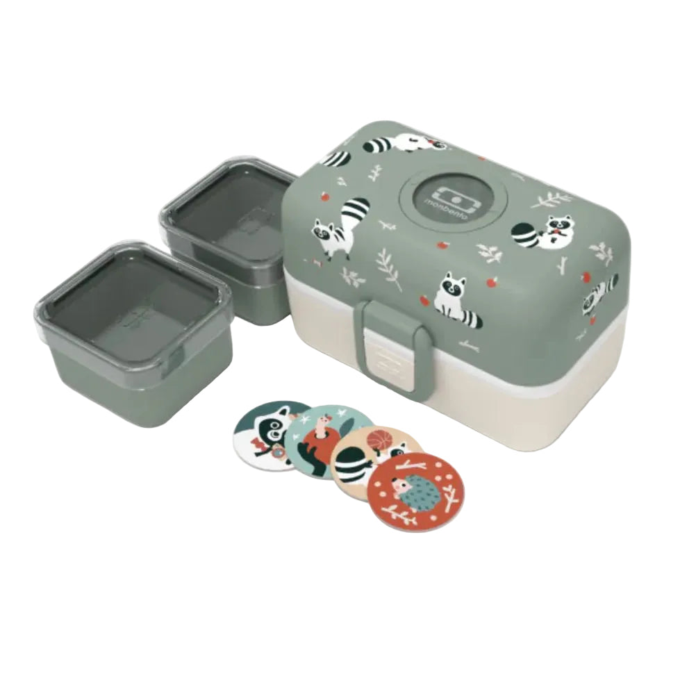 BENTO Box Raccoon