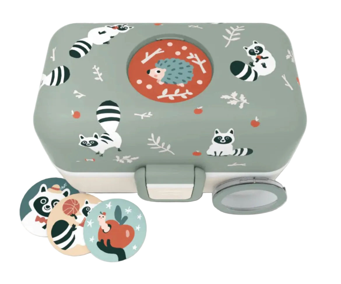 BENTO Box Raccoon