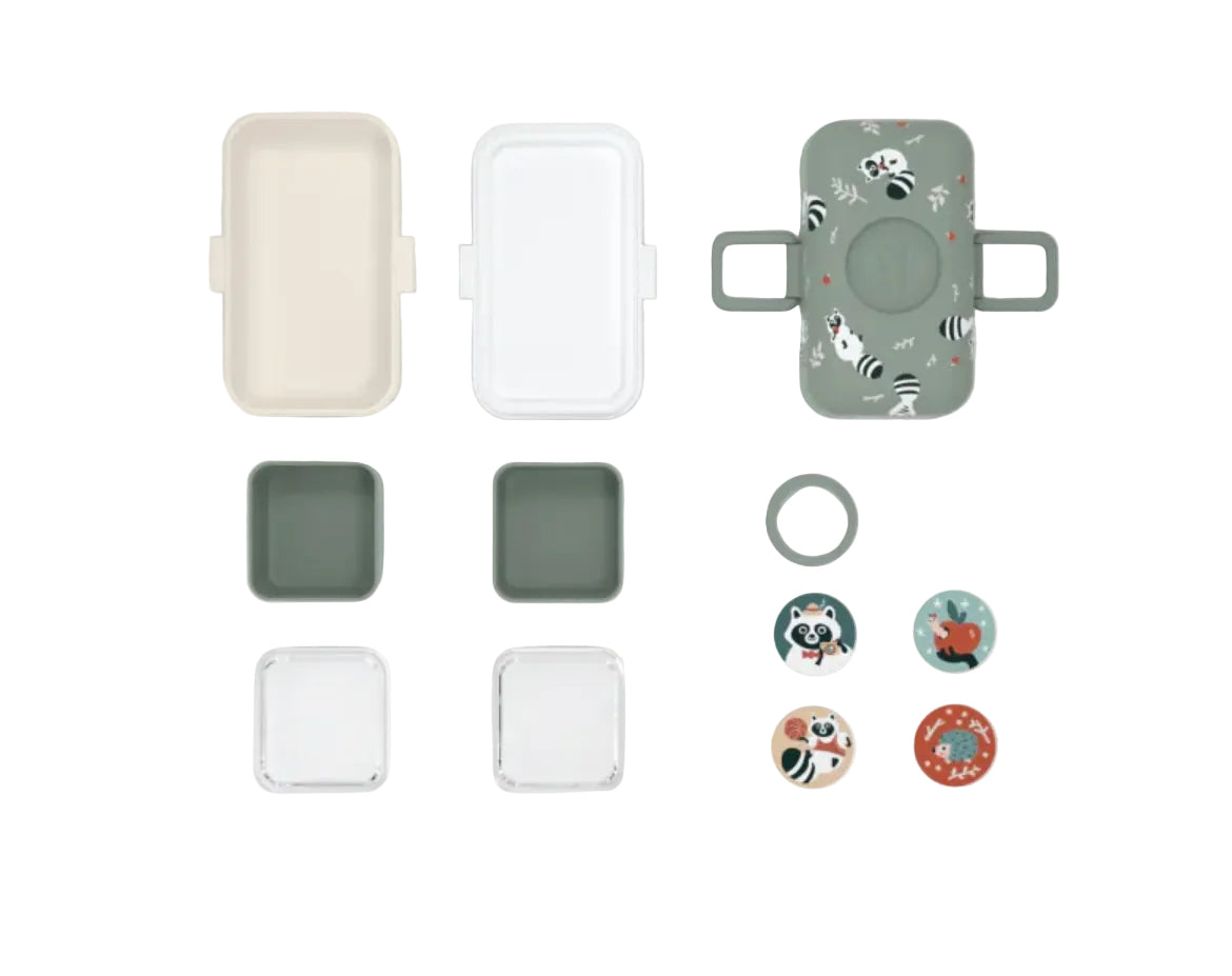 BENTO Box Raccoon