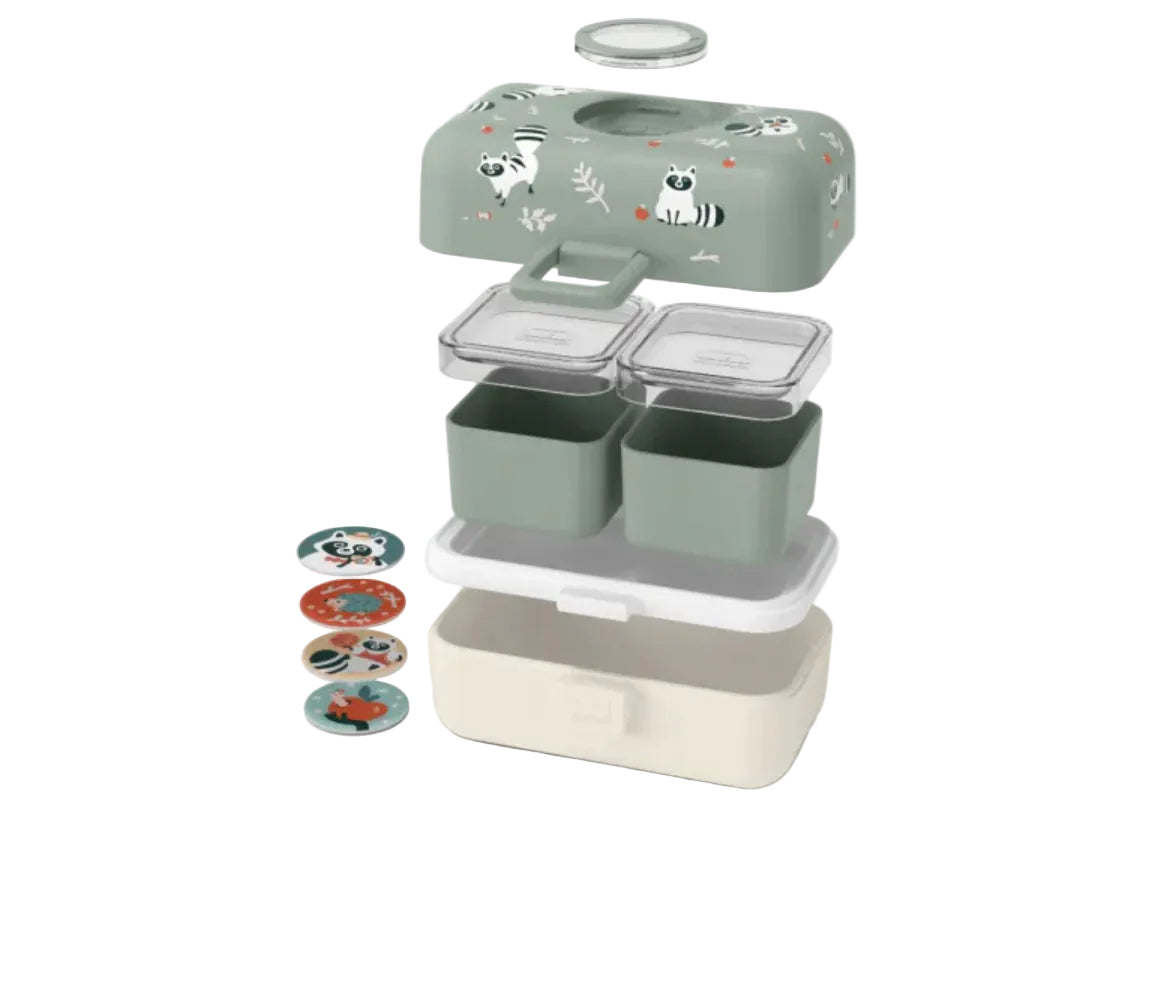 BENTO Box Raccoon