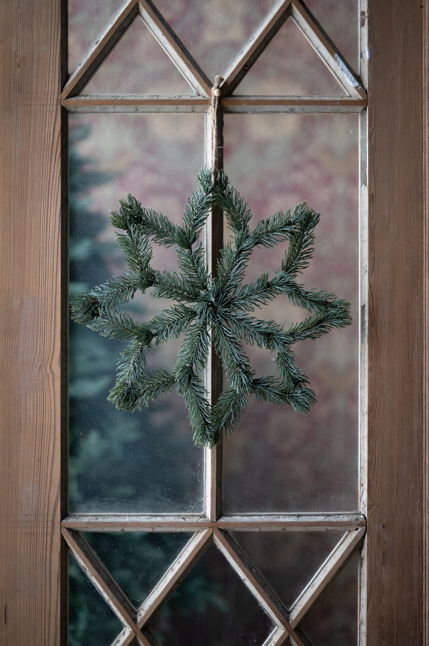 Stern groß mit Tanne