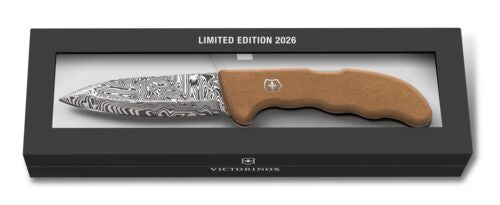 EVOKE Damast LIMITED 2026