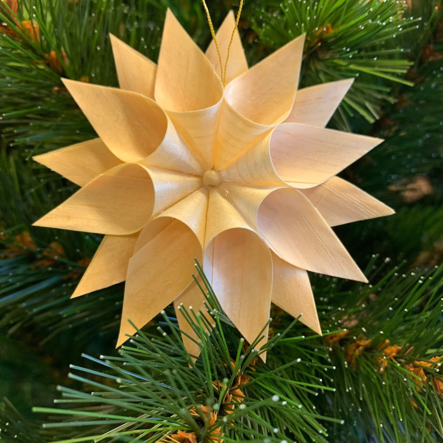 SPAN Stern Mini/doppelt Natur