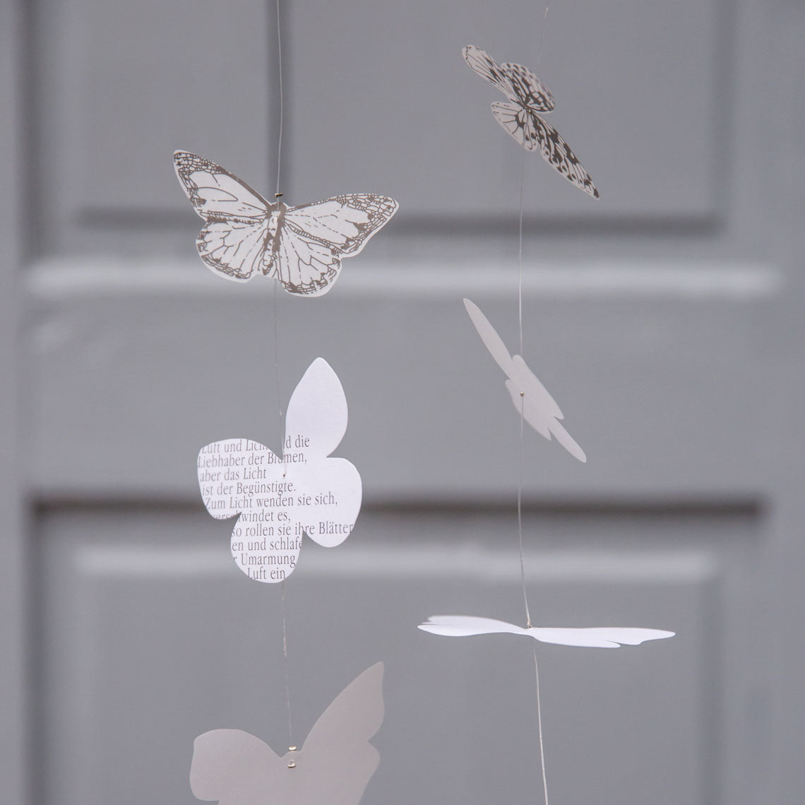 Schmetterling KETTE 1,5 lfm / weiß-grau