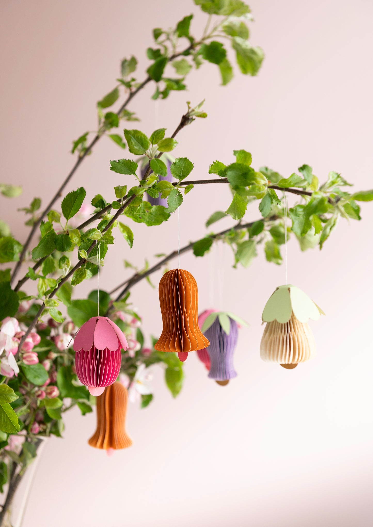 Honeycomb BLUMEN Set ( 4 )