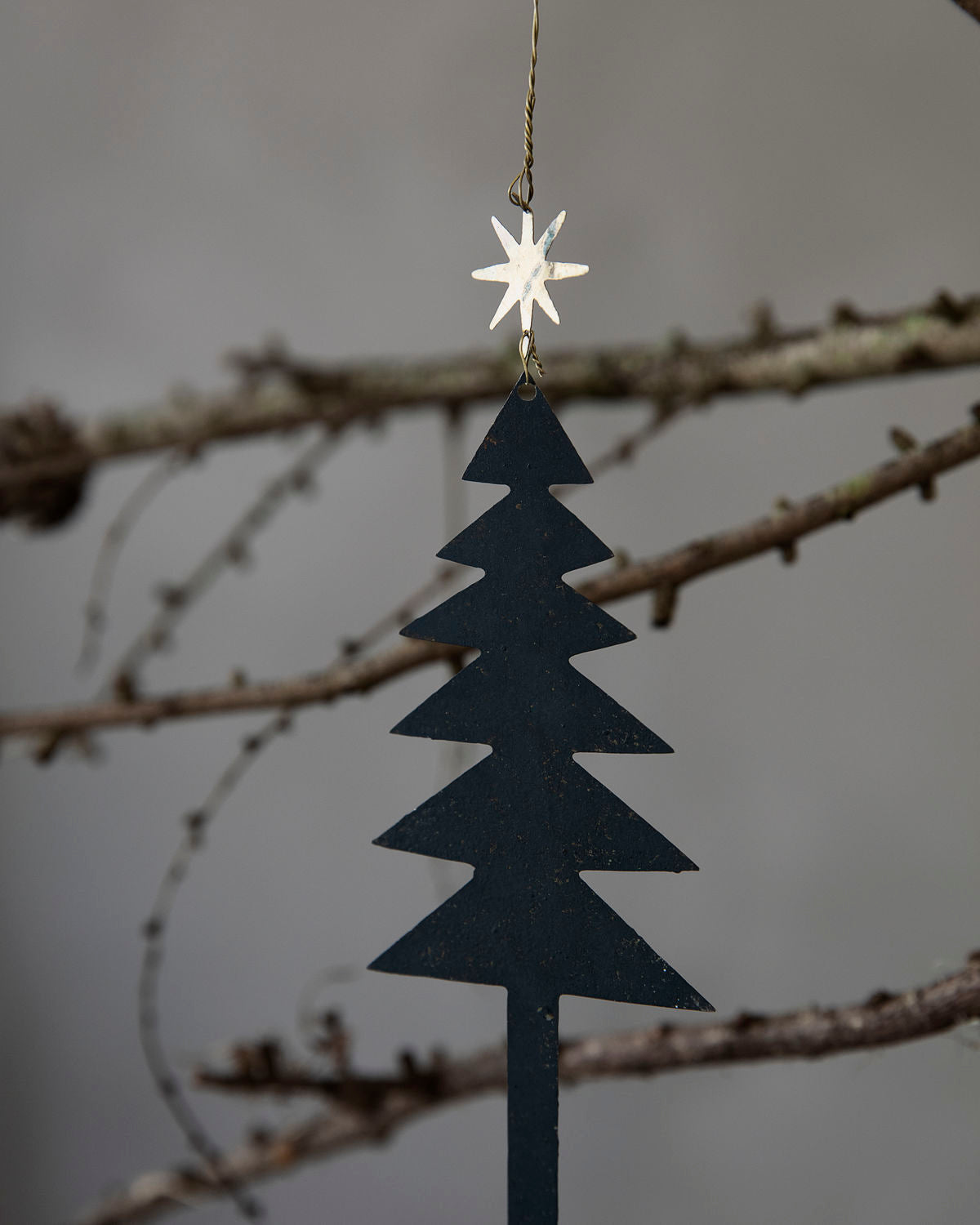 Ornamente, Tree w. star