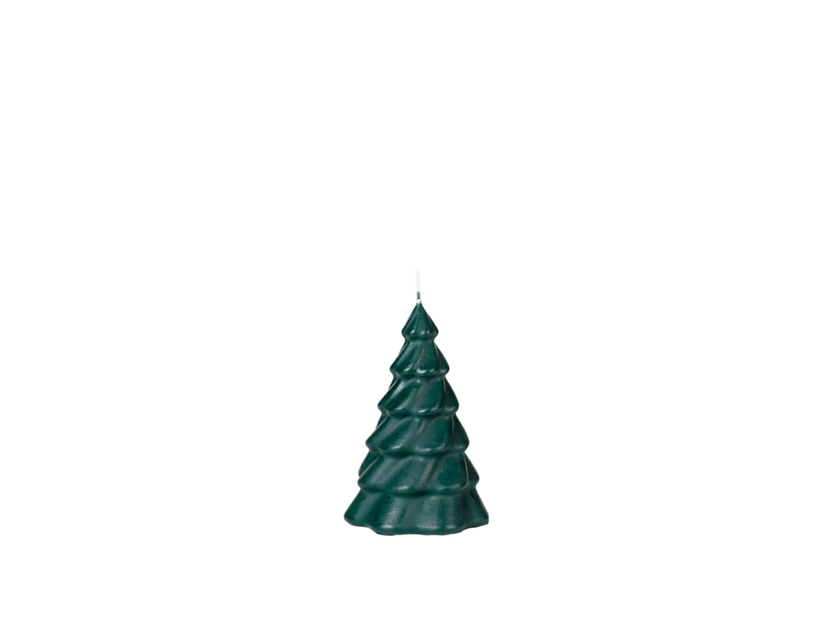 PINUS Weihnachtsbaum  KERZE 15 cm